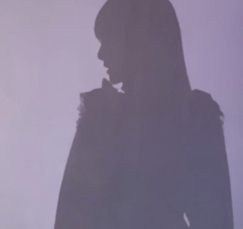 【画像】Adoちゃんの横顔、美しすぎて草www