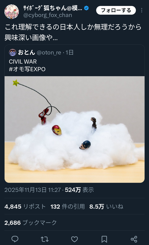 【画像】日本人にしか理解できない画像がこちらwww