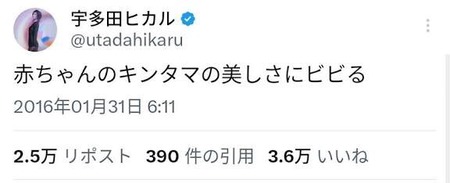 【悲報】宇多田ヒカルさん、Xで炎上し、ネット民みたいなレスバをしてしまう