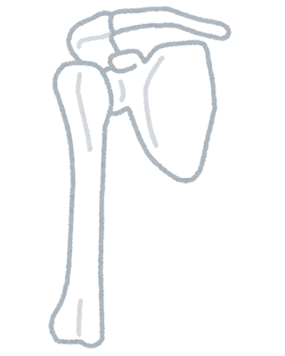 【有益】この『セルフ肩甲骨はがし』、即効性ありすぎてヤバい