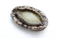 【画像】エロ画像貼ってワイを抜かさせた奴優勝