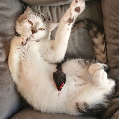 【悲報】Amazonで5000円で買ったデジカメの画質がゴミすぎて憤死する……