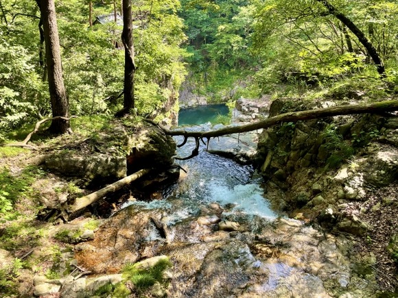 【動画】スプレー誤射してモロに吸い込んでしまう釣り人