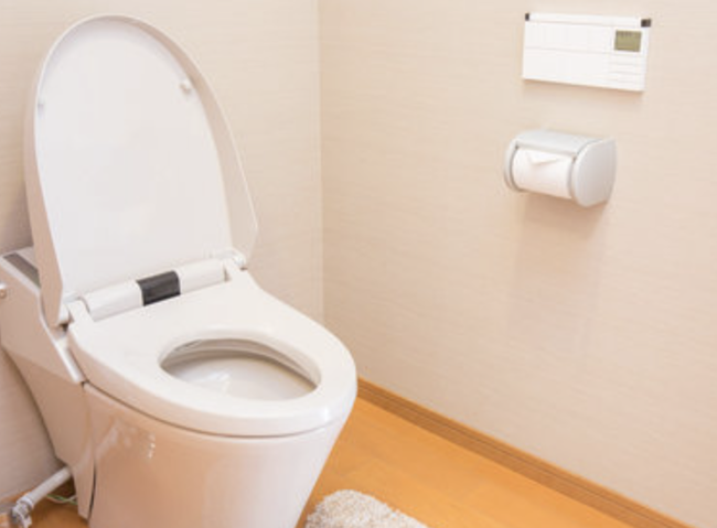 【悲報】田舎、トイレを作るだけで1億円がかかってしまう