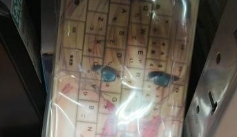 【画像】ハードオフにとんでもないものが売ってたwww