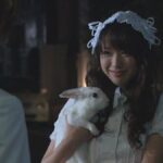 戸田恵梨香の全盛期www