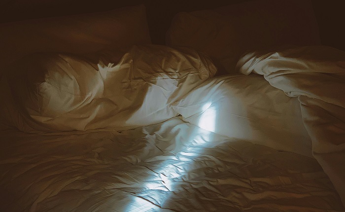 【画像】連れ込んだ女が確実にヤれるベッドwww