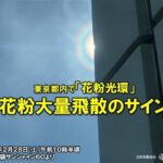 【花粉症ゼロ！】東京都心、スギ花粉飛散開始！28日(土)から一気にピークへ