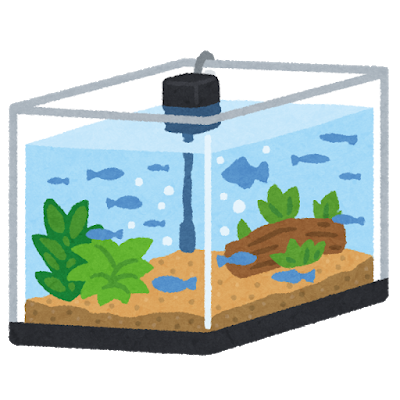 めだかって水槽で飼いたいんだけど金と手間かかる？