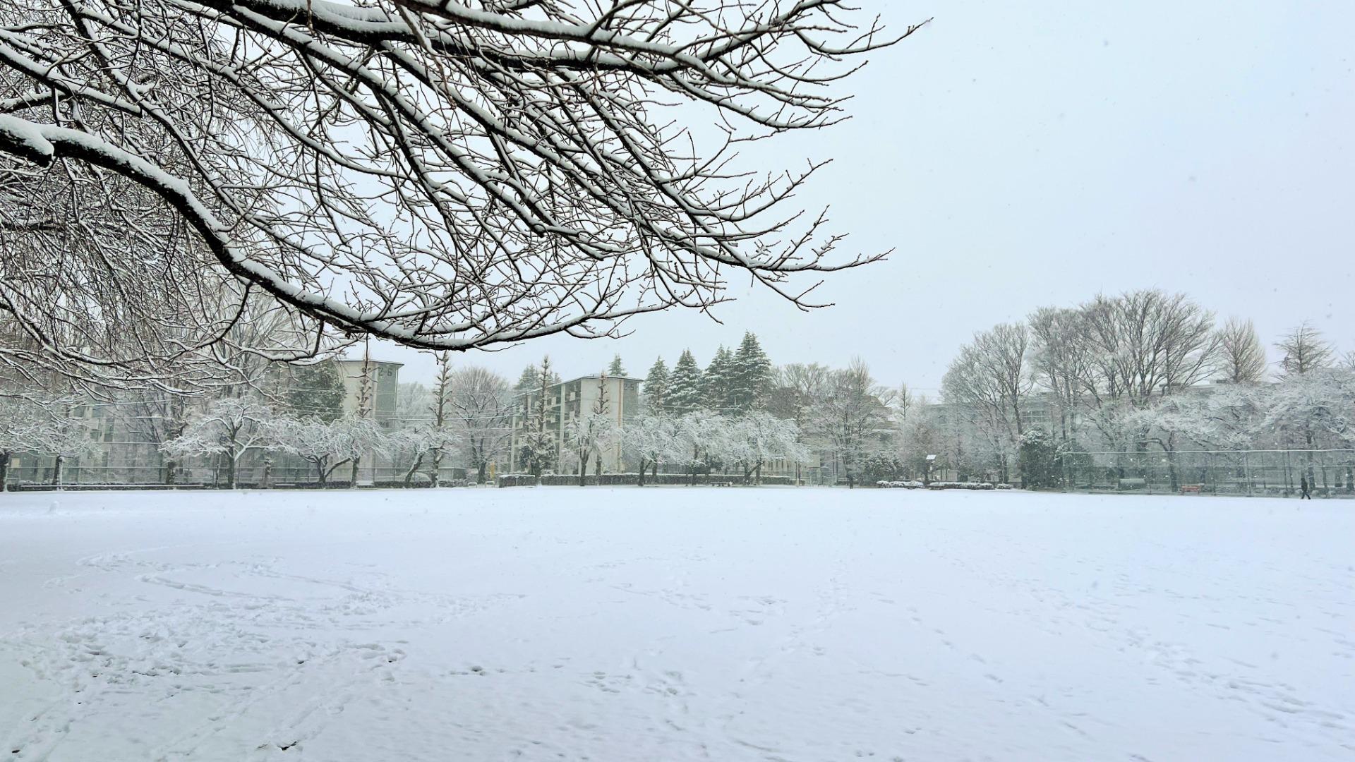 【悲報】東京都心、3cmの大雪積もったため投票率下がる