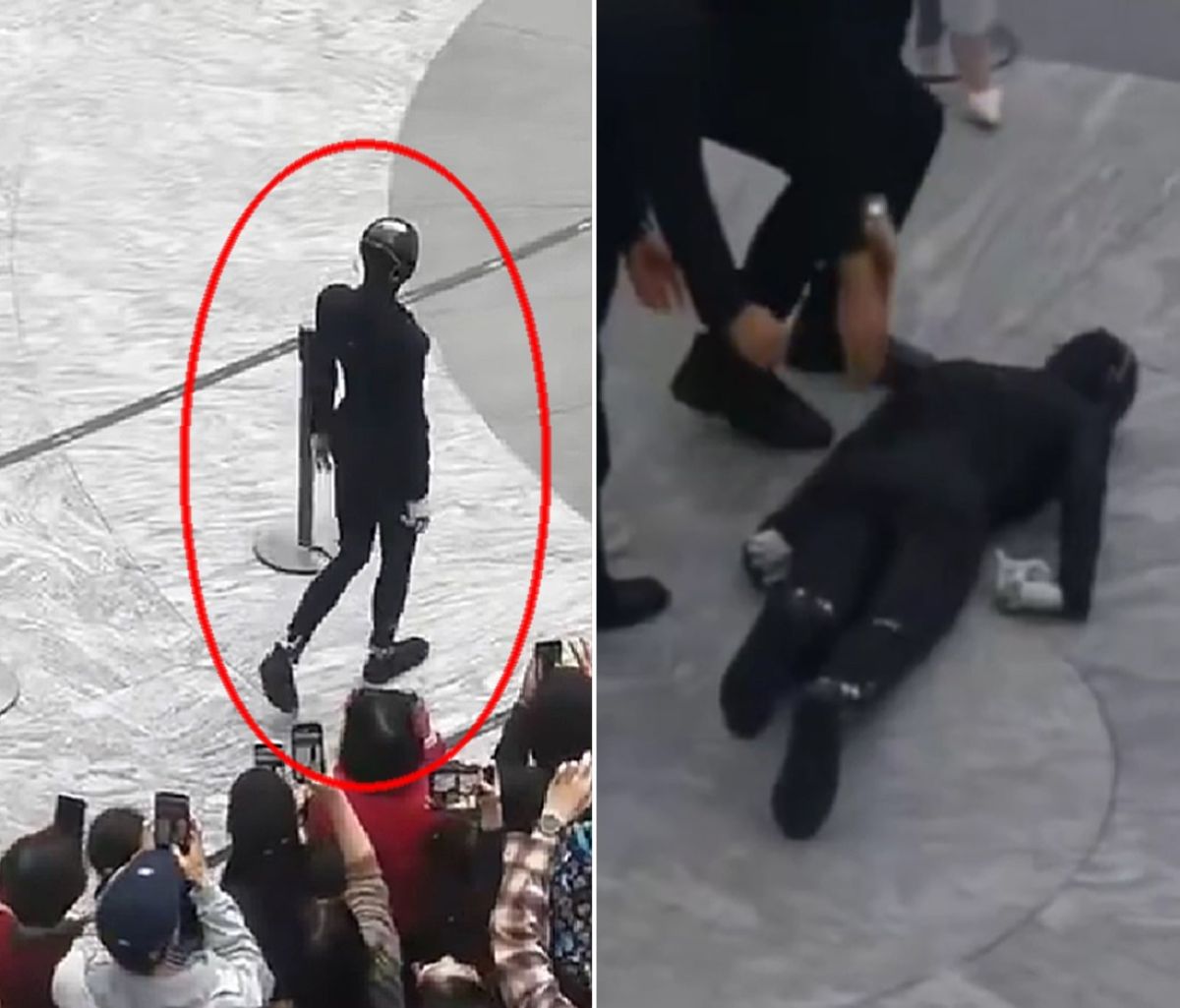 見事な歩きを見せていたヒューマノイドが、観客の前で顔面から倒れる