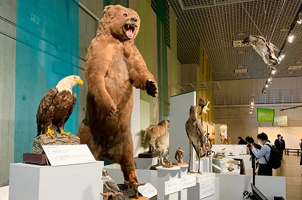 【悲報】高市政権「博物館や美術館って正直いらんよなｗ？」