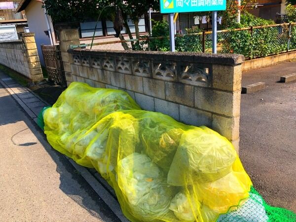 【画像】高級マンションのゴミ捨て場、ガチで高級すぎるwww