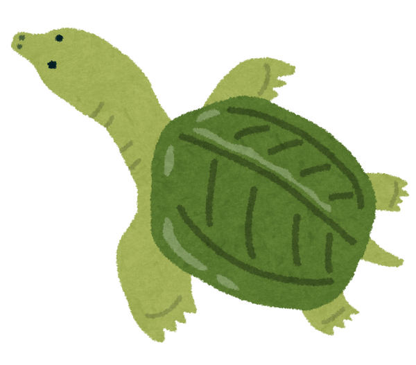 後輩「スッポン養殖しませんか？」ワイ「それ儲かるの？」後輩「絶対儲かりますよ！」→…