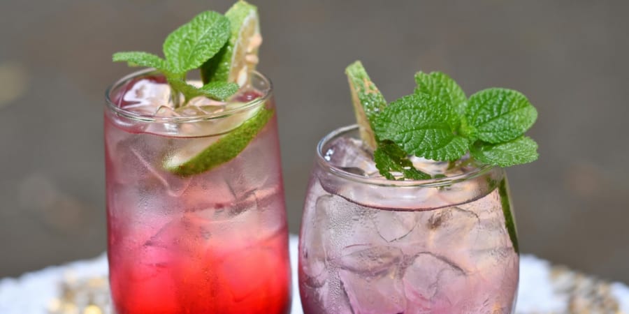 ミントが冷たく感じる本当の理由を解明