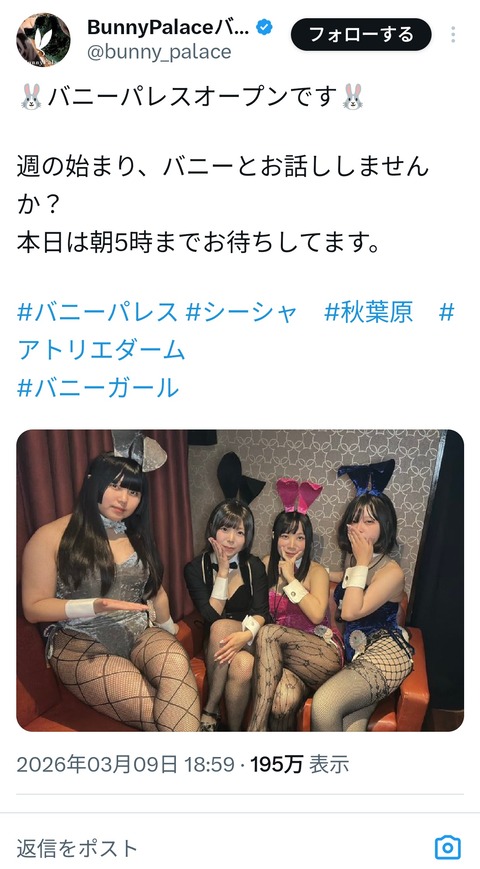 【画像】秋葉原のバニーガール店にガチでとんでもないバニーがいると話題に