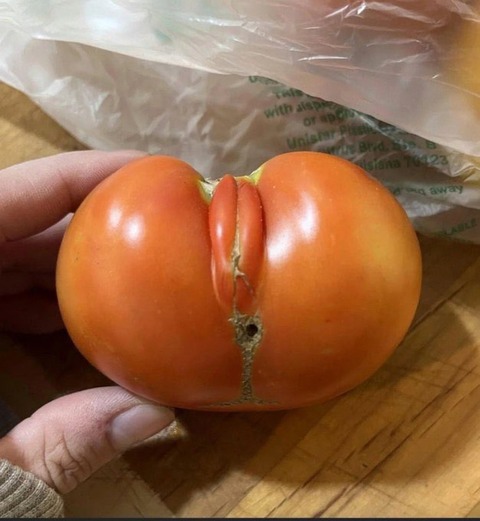 【画像】女の子すぎるトマトが見つかるwww