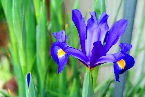 【画像】部落「部落差別問題を理解してない人が多すぎる。こちらをご覧ください･････。」⇒！