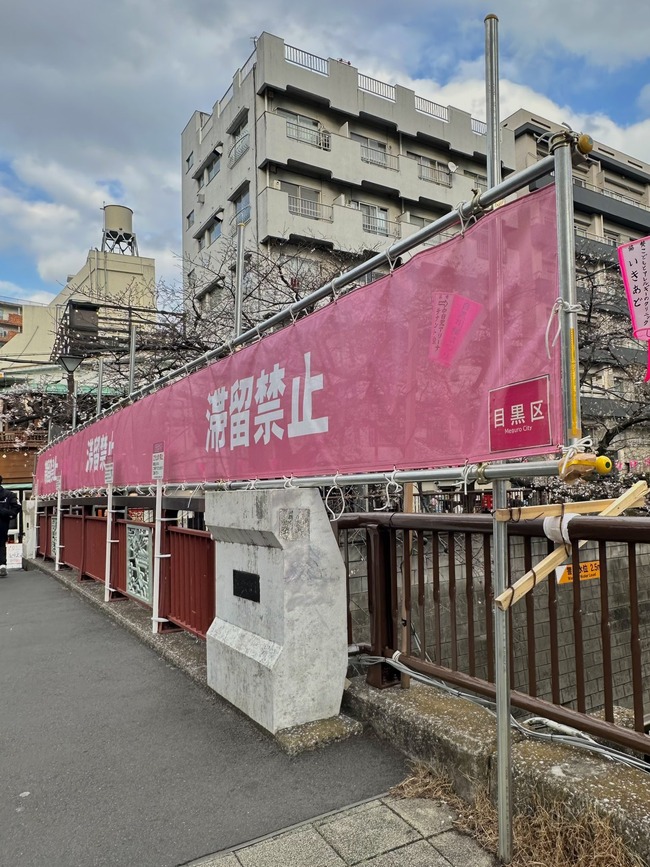 目黒川での花見、完全にすべてガードされるwww