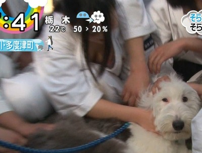 【画像】少林寺JKさん、前屈みで見えてしまうwww