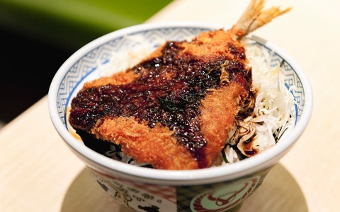 【画像】アジフライ丼って何でこんな物悲しくなるんだろう