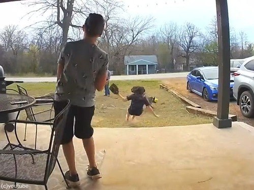 キャッチボールをしていた女の子…走り回っていた犬によって派手にころんでしまう（動画）