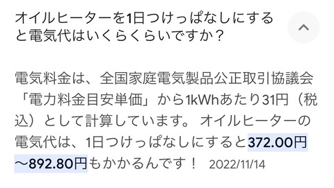 【悲報】「オイルヒーター」とかいう暖房、ガチで富豪しか使っちゃだめな家電だった・・・