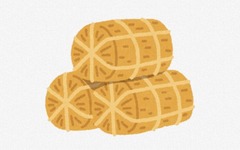 【悲報】コメ、在庫271万トンでめちゃくちゃ余るwww