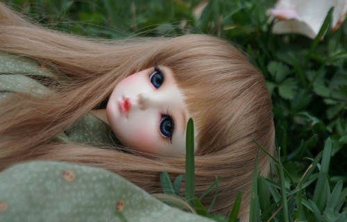 【画像】ラブドール、小さい方がガチで気持ちいいwww