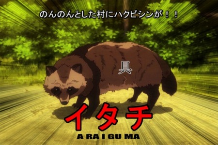 【画像】ハクビシン捕まえた！