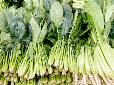 【警告】自炊初心者「ほうれん草ナマで炒めます」　プロ「おい絶対やめろ」