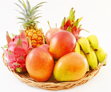 【画像】フルーツジッパーの女の子、『ここまでの顔面』を持つのに人気が出ないwww