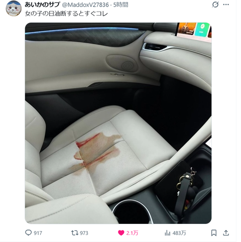 【画像】「女の子の日に油断するとすぐコレ」高級車のシートが真っ赤に染まった写真を投稿