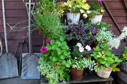 私の母の四十九日が終わった。義母「これでアンタ、なんの後ろ盾もなくなったねw」私「はい。心残りがなくなったのでリコンします」→結果…