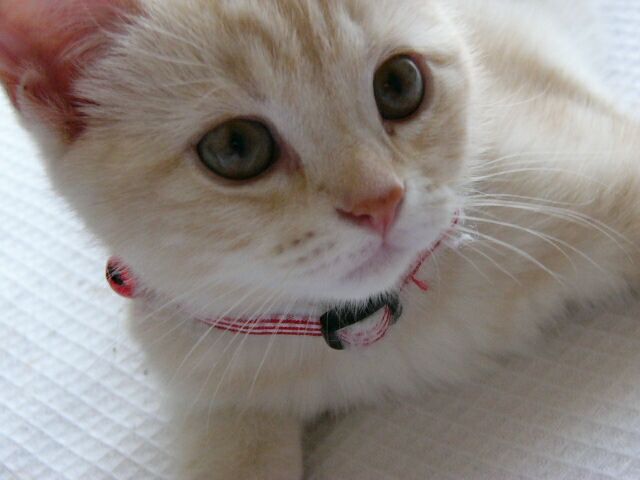 最高な画像、爆笑画像貼ってけwww