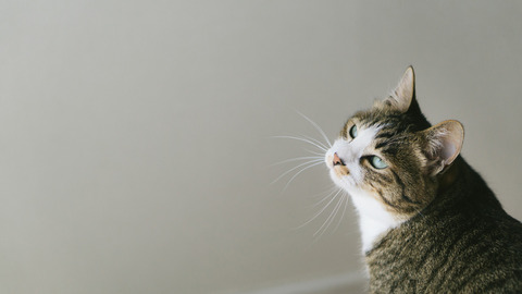 DTなのにいつの間にかよその人妻を妊娠させてて慰謝料請求された。DNA鑑定をしたら間違いなく俺の子供。本当に記憶に無くて…