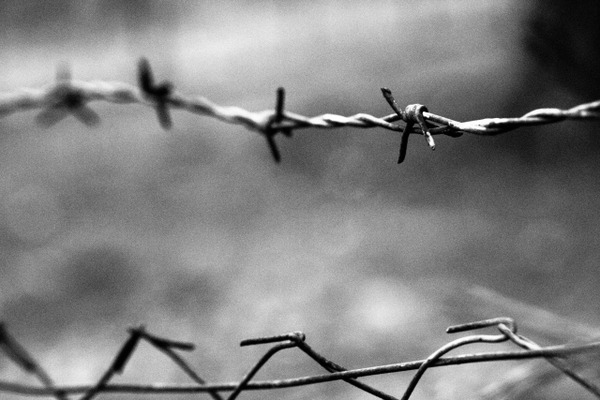 【悲報】ホストを1位にしたくて強盗殺人した女さん、無期懲役の判決に震えあがる…ご尊顔はこちらwww⇒