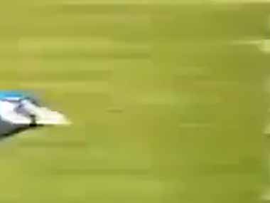 この動画、ＡＩじゃないの？ → ヤツらが飛んでいる姿はこちらです…