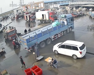 【動画】これは悲惨（ノ∇`）鮮魚運搬車が盛大にお漏らししちゃう。