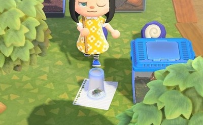 顕微鏡で見たハエさん、完全にラスボスと化す