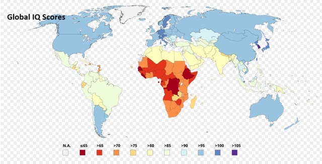 何でアフリカって何年も経済支援してるのに発展しないの？→答えが酷すぎたwww