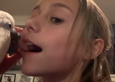 【画像】オウムさん、幼女の歯を抜いてしまう・・・・