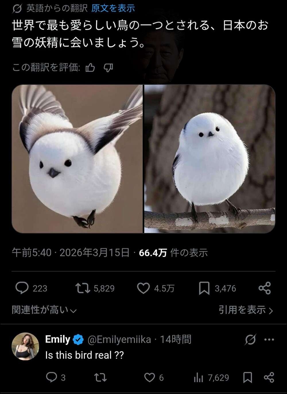 日本のあの鳥、海外にバレルwww