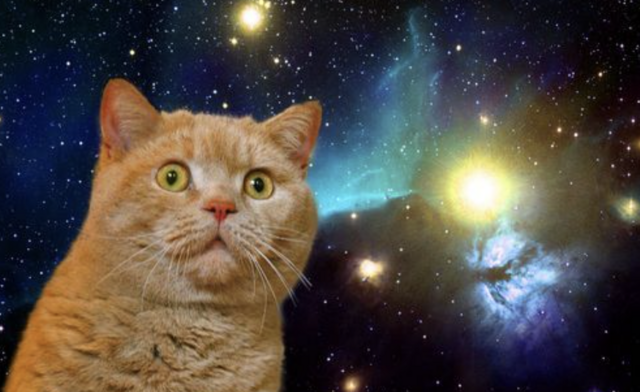 【辺野古転覆事故】元同志社大教授「海上保安庁の救助が悪かった可能性がある」→ 大炎上