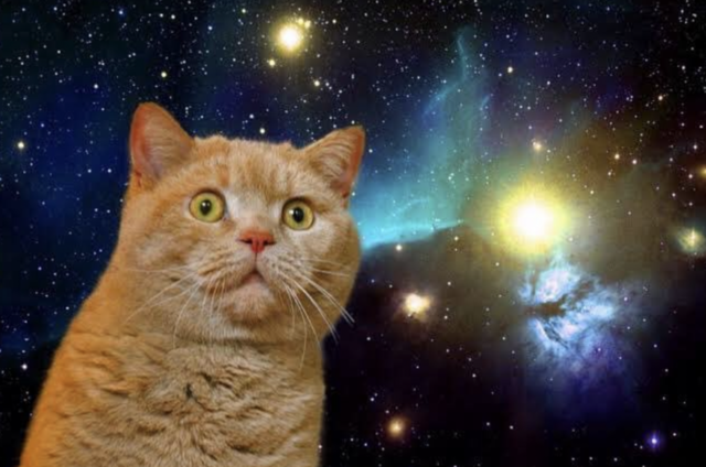 【辺野古転覆事故】同志社国際高校、終わる → 過去の修学旅行で生徒たちに”８時間の座り込みによる抗議活動”への参加を要求していたことが発覚