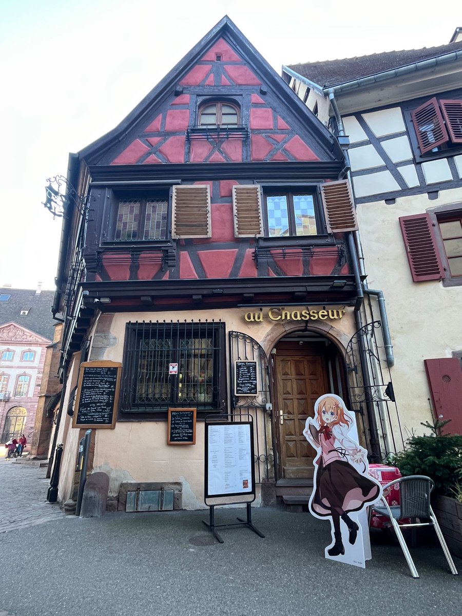 【画像】フランス人「日本人はこういうのが好きなんでしょ？」