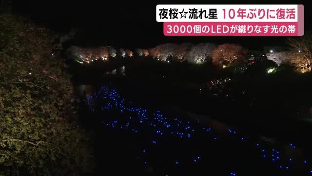 かっこいいナンバープレート「香川」「新潟」「大阪」「宮城」「姫路」「山口」あとは？