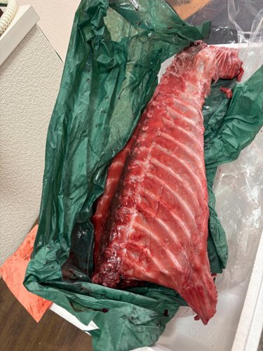 【画像】ネギトロ丸ごと一匹買った結果www