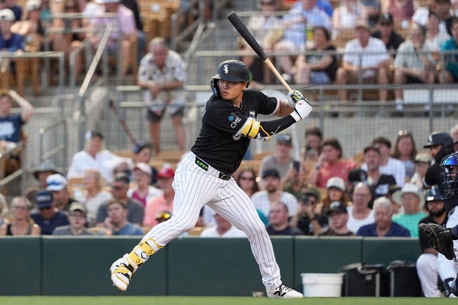 【朗報】お前らが馬鹿にしまくったシカホワ村上が余裕でメジャーで通じまくってる件www