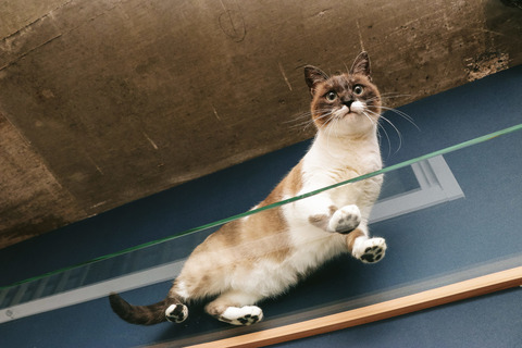 離婚して出ていった母が、5千万近い金を遺産として残してった。するとそれを種違いの弟と弟の叔母が奪いにきた。俺「1週間で使い切った」→結果